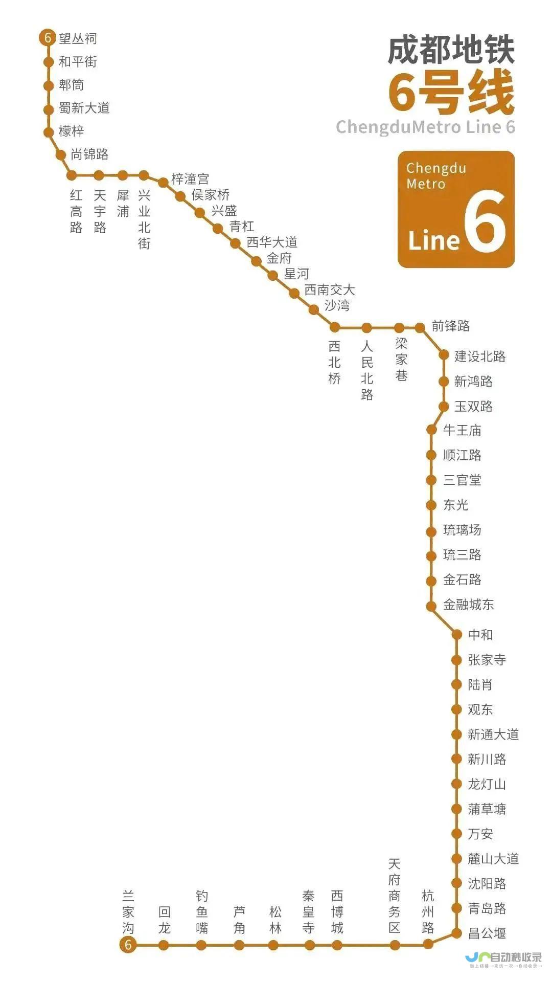成都新线加：打造您成功的网络平台，助力企业线上发展