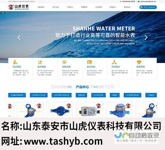 泰安网站建设公司：打造您在互联网上的专属数字名片，提升品牌形象和业绩