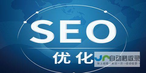 龙口SEO优化：精准引流，高效转化，助您在龙口市场脱颖而出