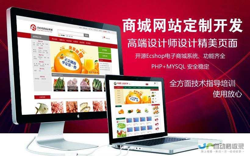 网站套餐：从入门级到专业级，一站式网站解决方案