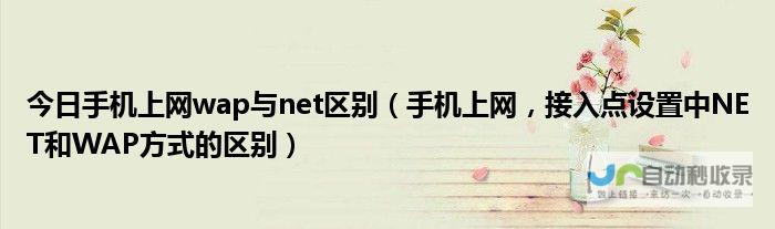 手机WAP网站制作：打造移动时代用户体验的利器