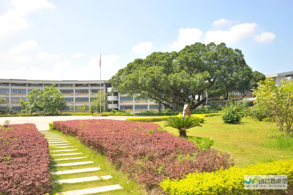 龙岩专业网站建设公司：打造您的专属数字名片，提升品牌影响力