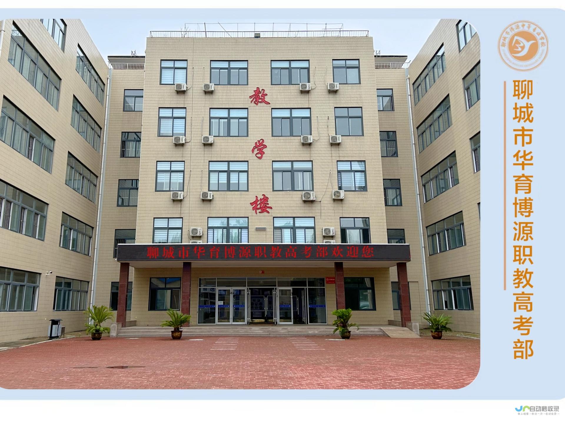 聊城专业网站建设服务：打造您的专属数字空间，实现业务增长
