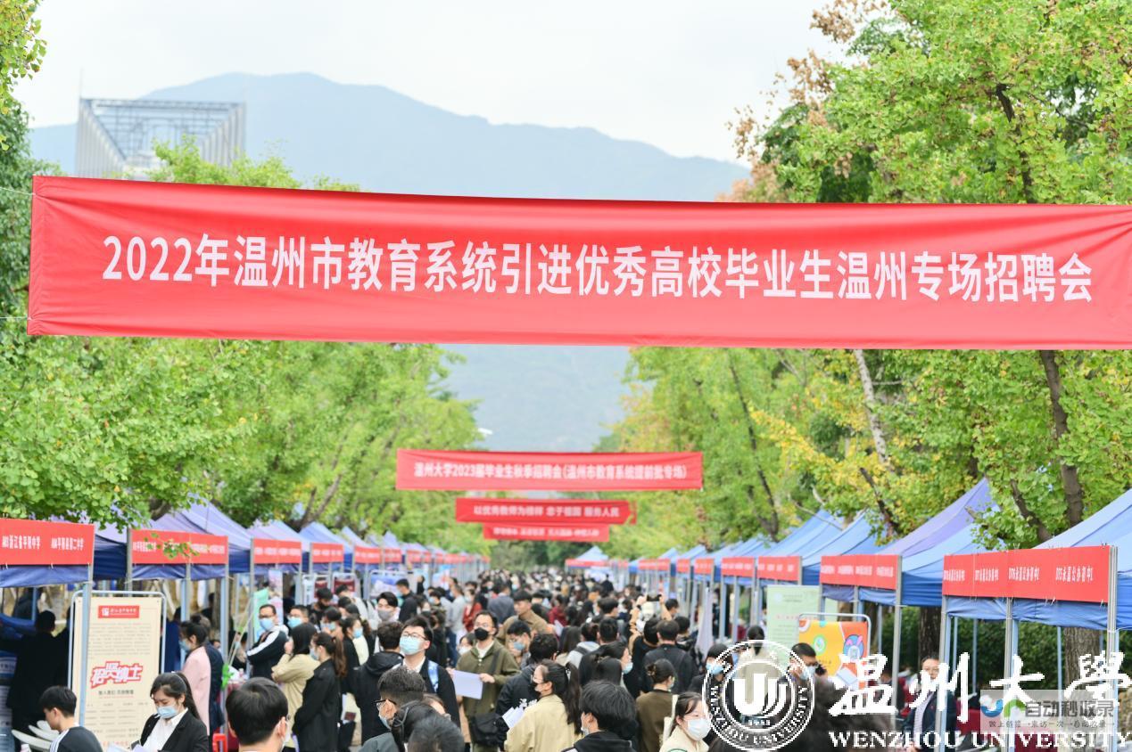 选择温州专业的网站公司：量身定制，提升效益，助您在互联网时代脱颖而出