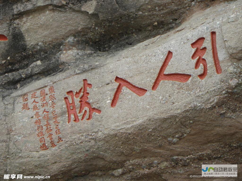 全面指南