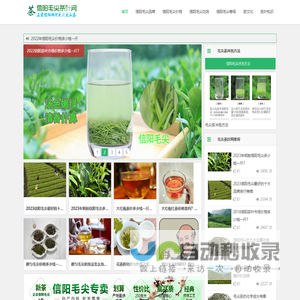 信阳毛尖价格-毛尖品牌排名-信阳毛尖茶叶网「半买半送」