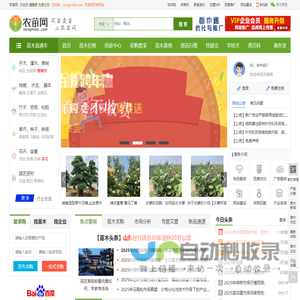 铝卷|合金铝板|防锈铝板|保温铝板|花纹铝板|压型铝板|铝板|天花板-山东同鑫铝业